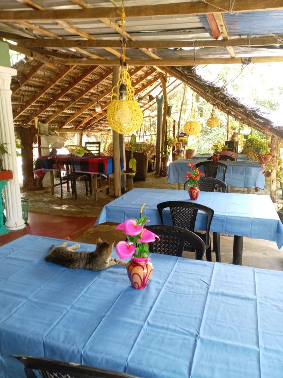 Near The Canal Homstay Sigirîya Extérieur photo