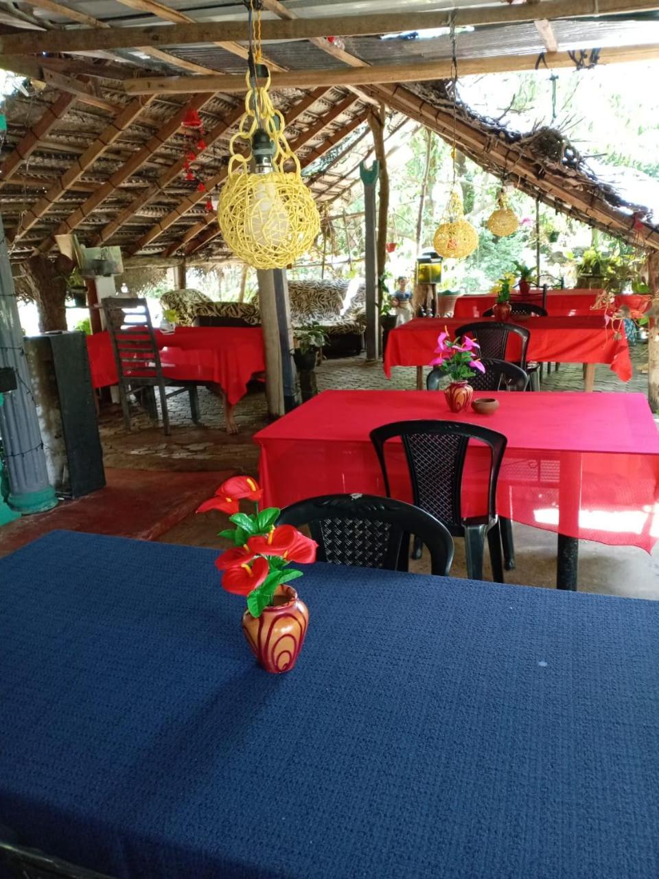 Near The Canal Homstay Sigirîya Extérieur photo