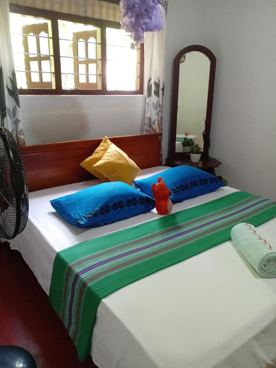 Near The Canal Homstay Sigirîya Extérieur photo